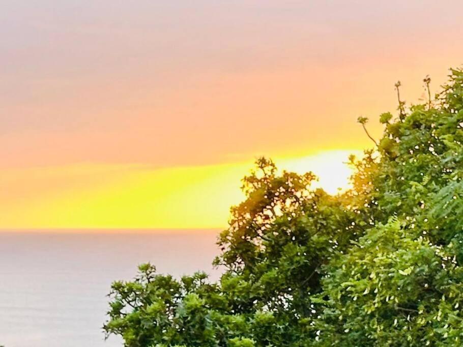 플레튼버그 베이 Sea View Sun Centre 아파트 외부 사진